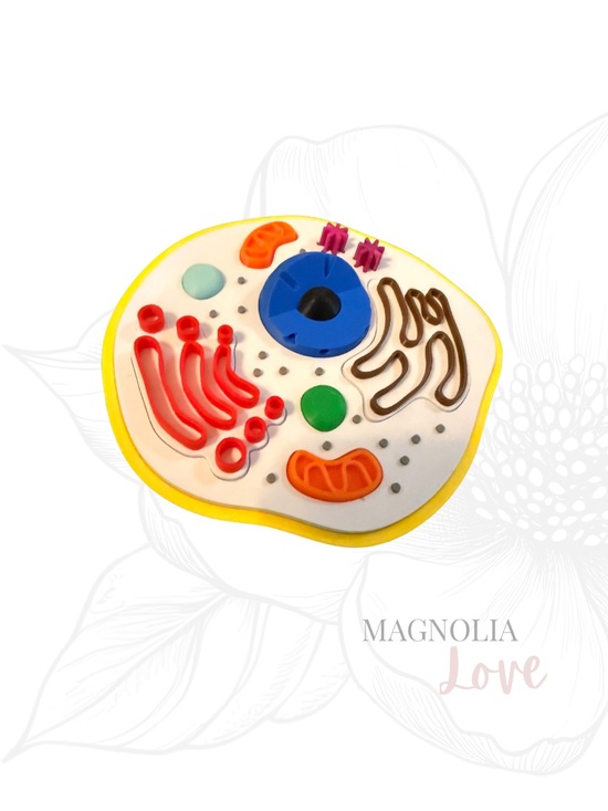 Magnolia Love Other - 🔬 Animal Cell Puzzle Model Educational Self Contained Colorful Detailed
